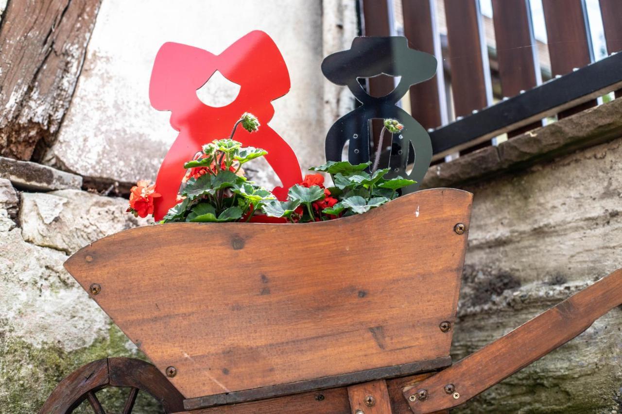 Gite Le Coeur D'Alsace Boofzheim Exterior foto