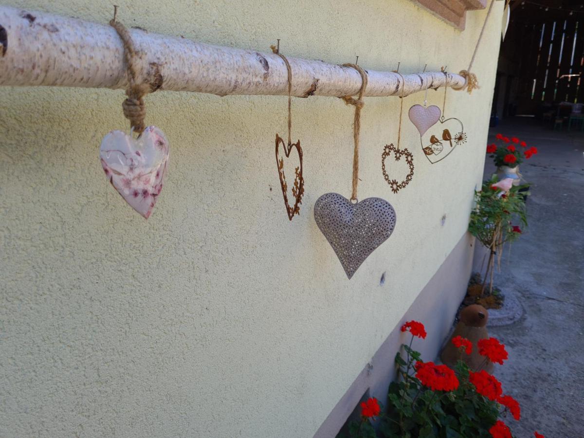 Gite Le Coeur D'Alsace Boofzheim Exterior foto